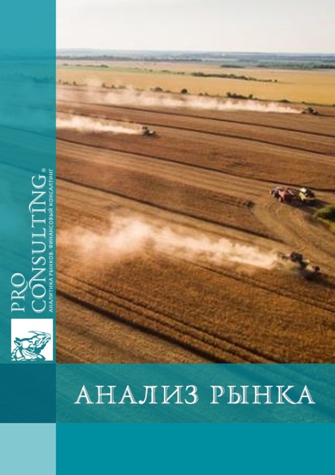 Анализ влияния войны на агрорынок Украины. 2023 год